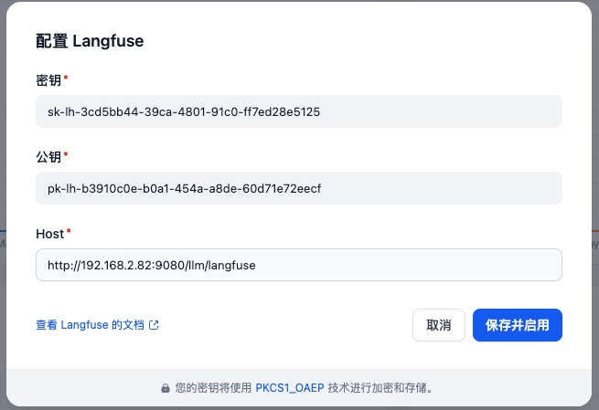 Langfuse 配置